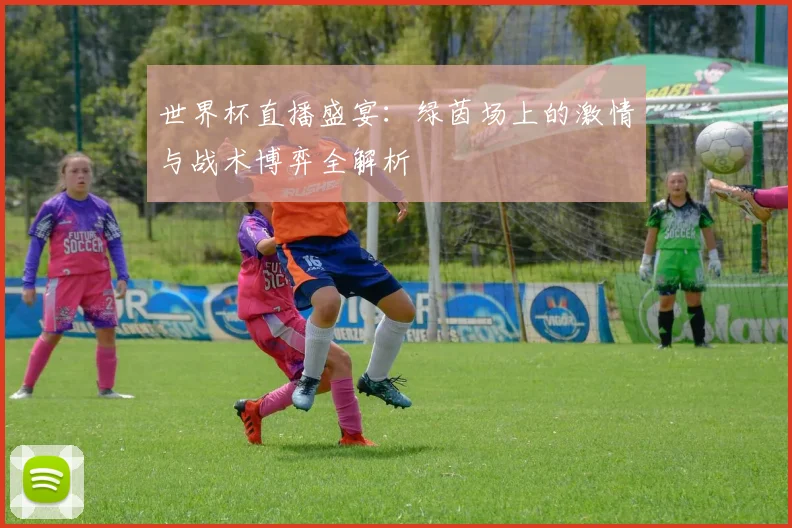 世界杯直播盛宴：绿茵场上的激情与战术博弈全解析