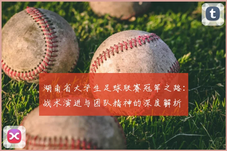 湖南省大学生足球联赛冠军之路：战术演进与团队精神的深度解析