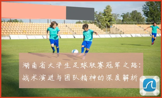 湖南省大学生足球联赛冠军之路：战术演进与团队精神的深度解析